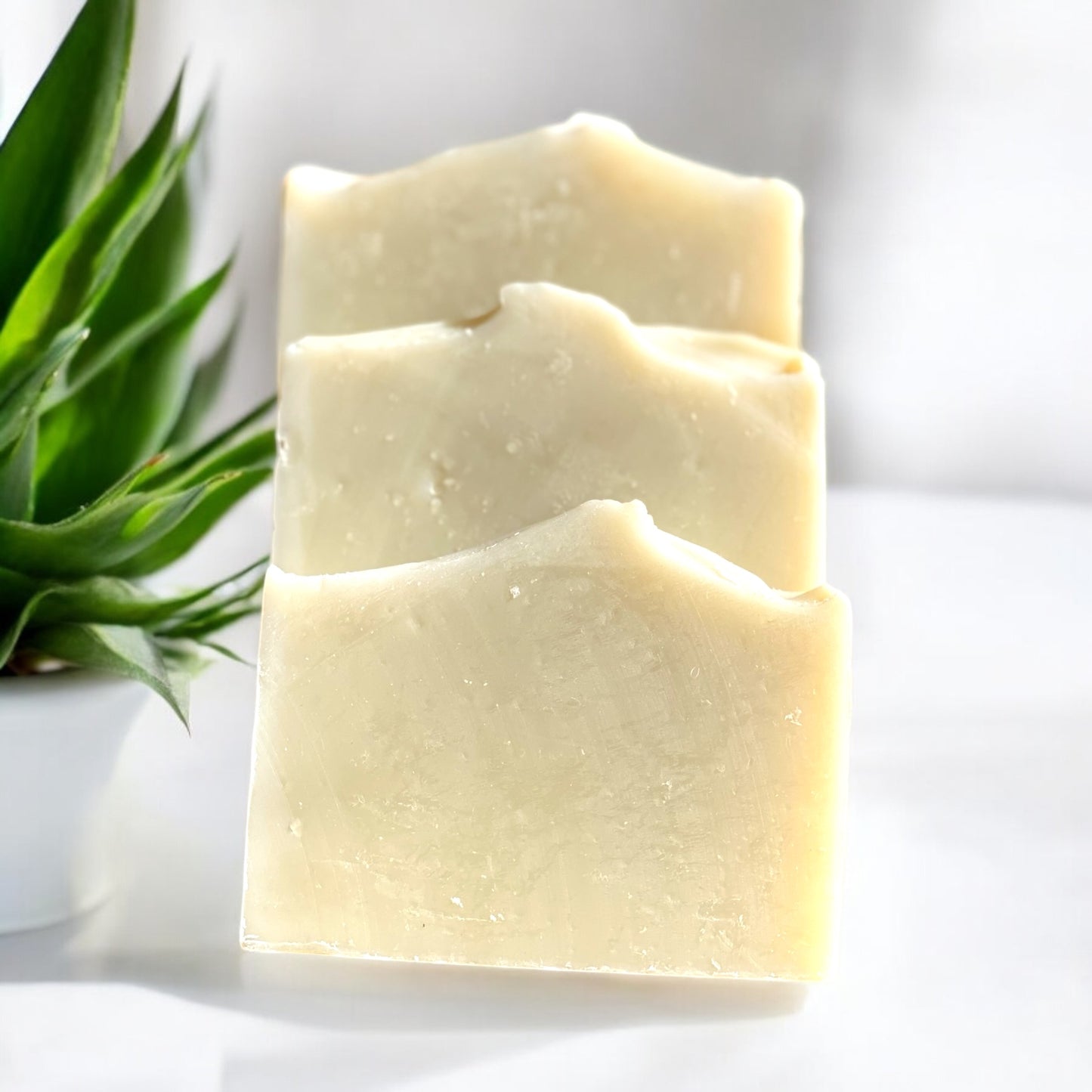 AloeVera - Handmade Bar Soap